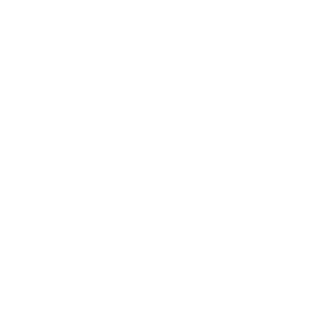 David Lee's logo